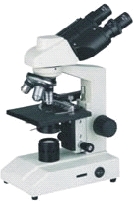 Binokular Mikroskop